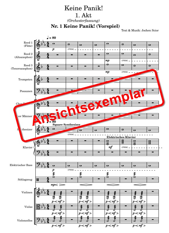 Beispiel Orchesterversion, Partitur S.1